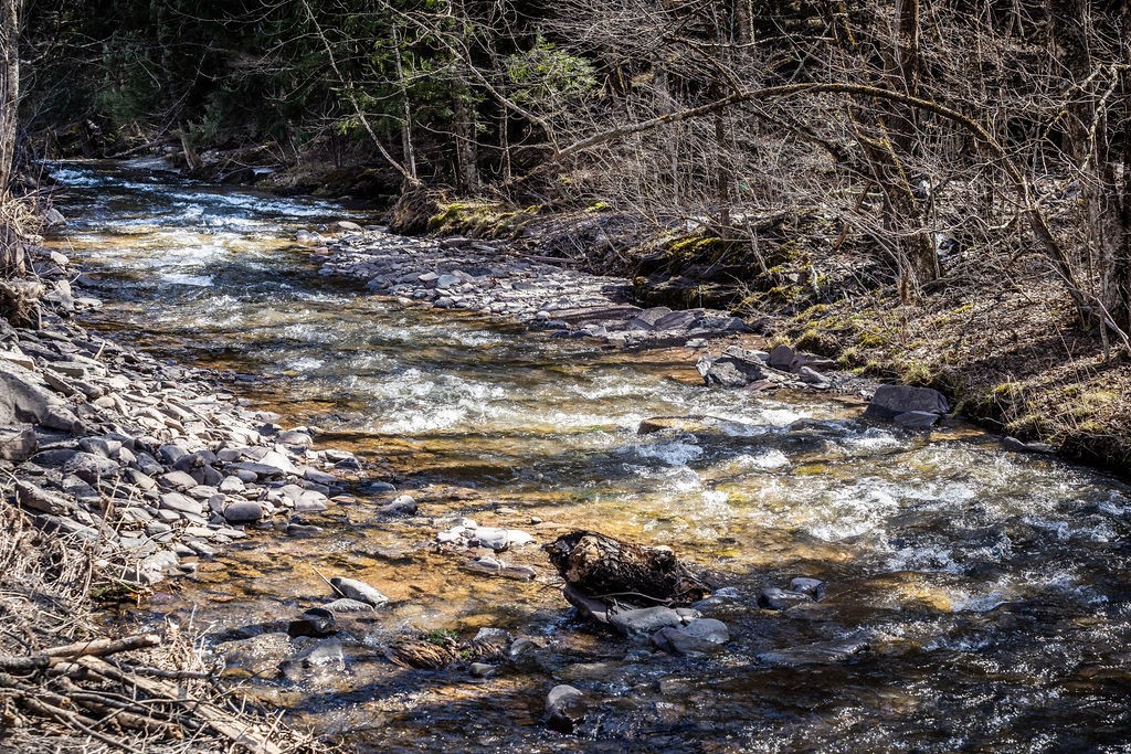 Hill Road Halcottsville, NY 12438 - Photo 16 of 43