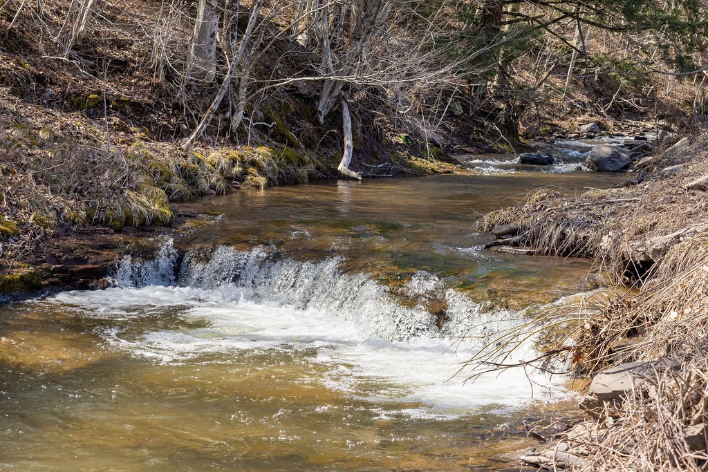 Hill Road Halcottsville, NY 12438 - Photo 18 of 43