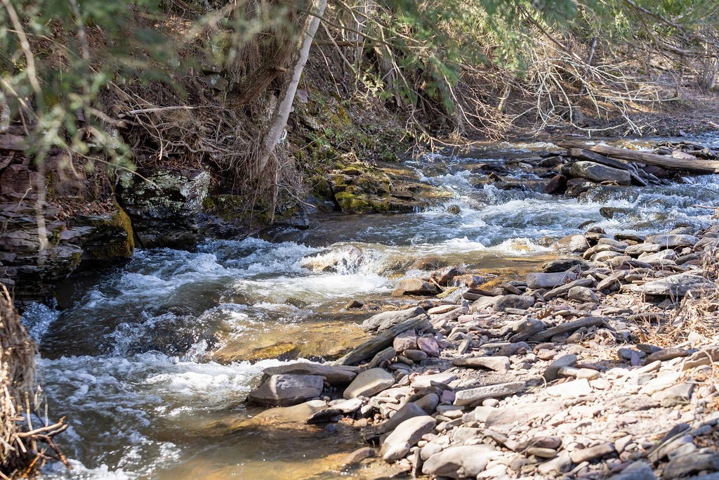 Hill Road Halcottsville, NY 12438 - Photo 19 of 43