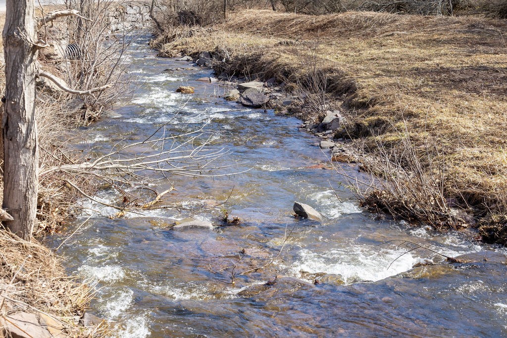 Hill Road Halcottsville, NY 12438 - Photo 20 of 43