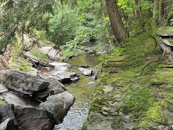 Hill Road Halcottsville, NY 12438 - Photo 2 of 43