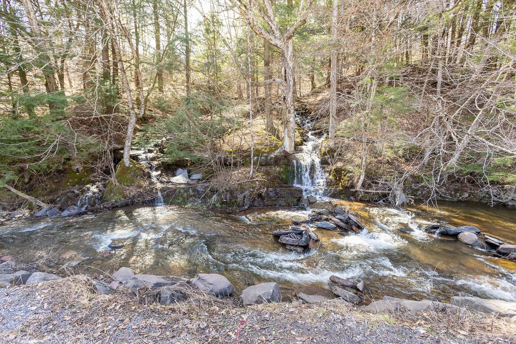 Hill Road Halcottsville, NY 12438 - Photo 21 of 43