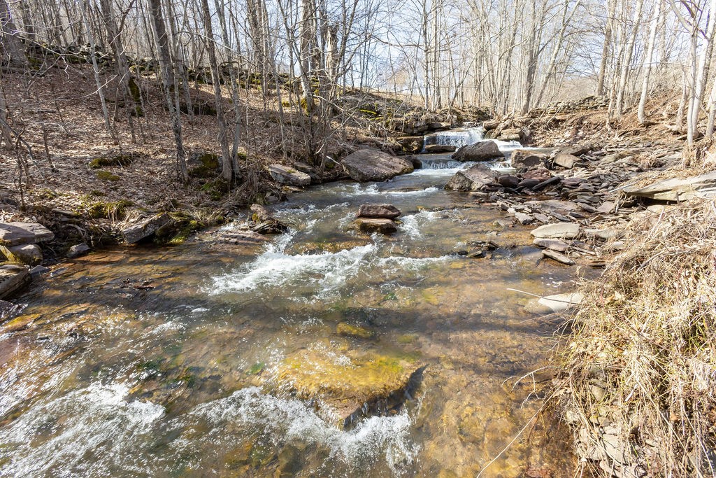 Hill Road Halcottsville, NY 12438 - Photo 22 of 43