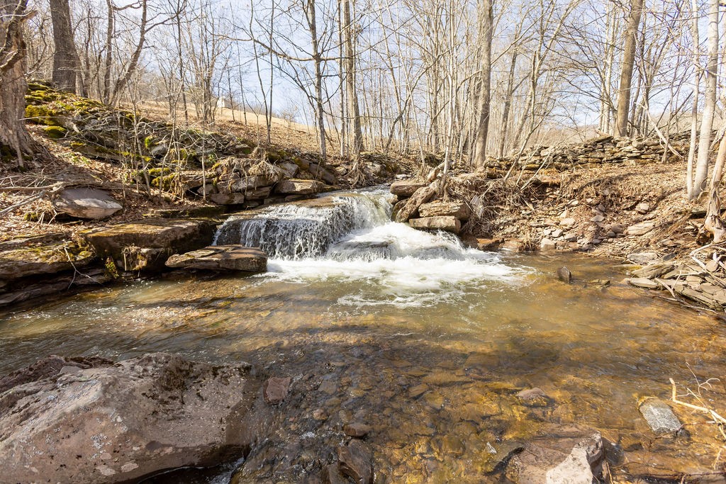 Hill Road Halcottsville, NY 12438 - Photo 23 of 43