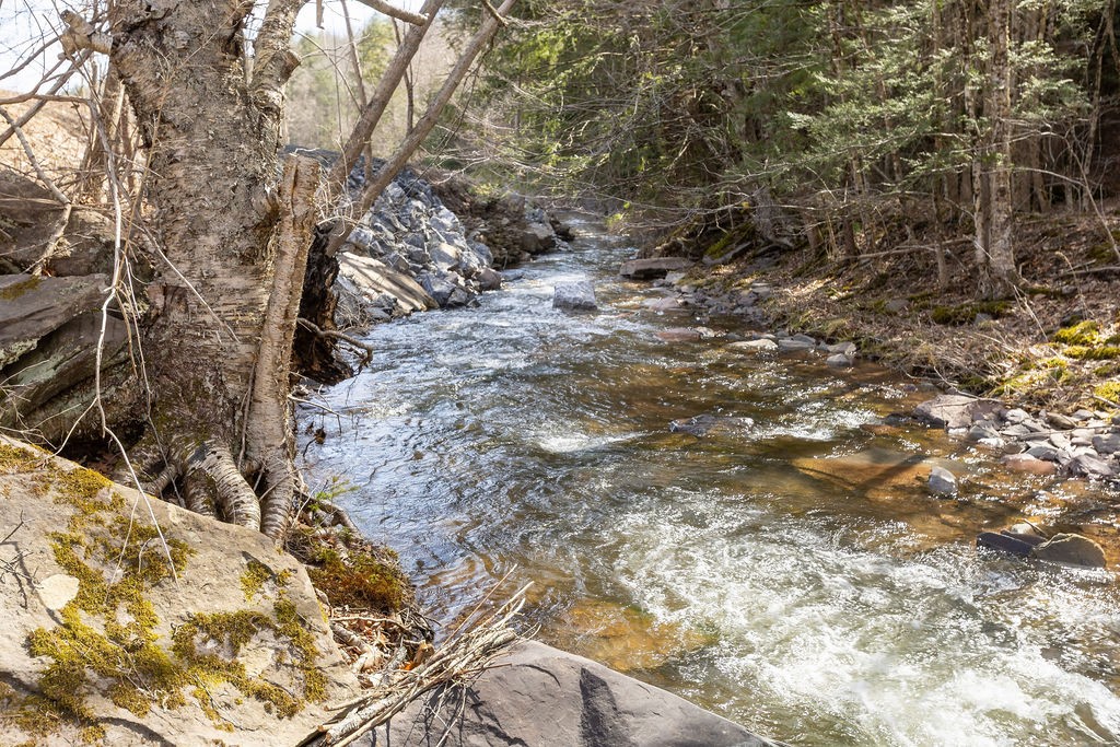 Hill Road Halcottsville, NY 12438 - Photo 24 of 43