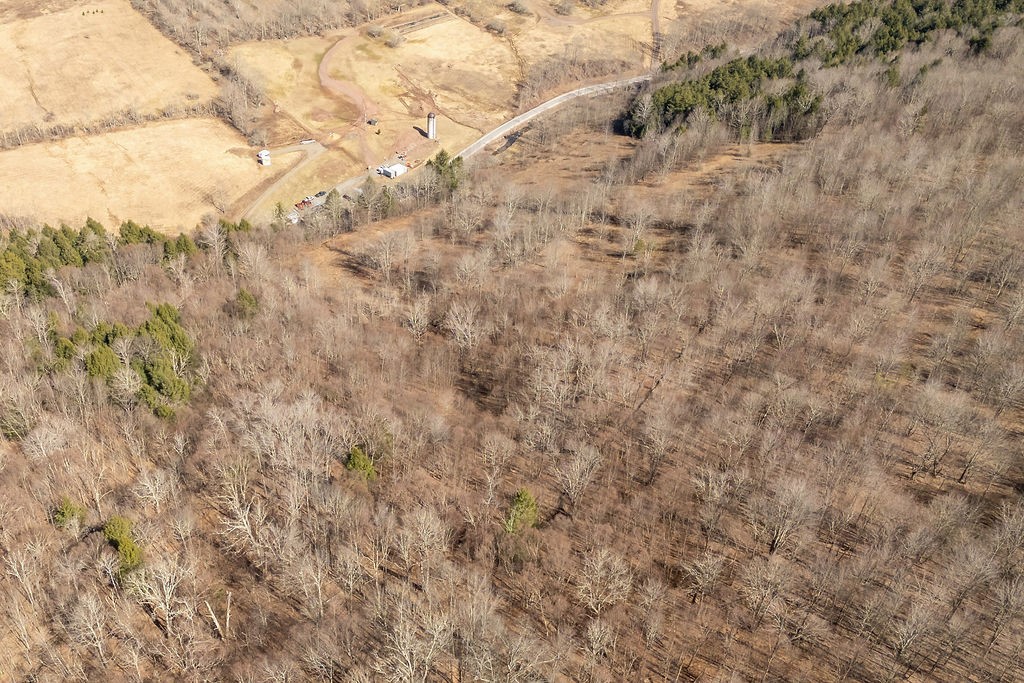 Hill Road Halcottsville, NY 12438 - Photo 26 of 43