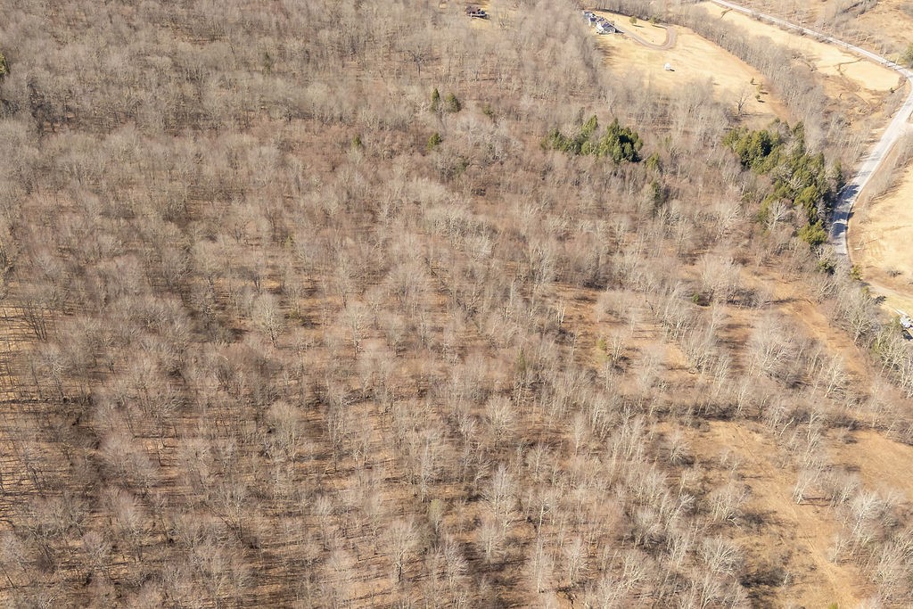 Hill Road Halcottsville, NY 12438 - Photo 27 of 43