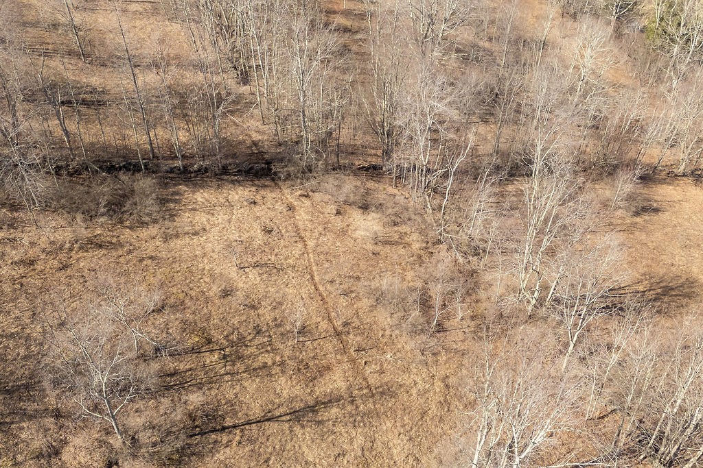 Hill Road Halcottsville, NY 12438 - Photo 30 of 43