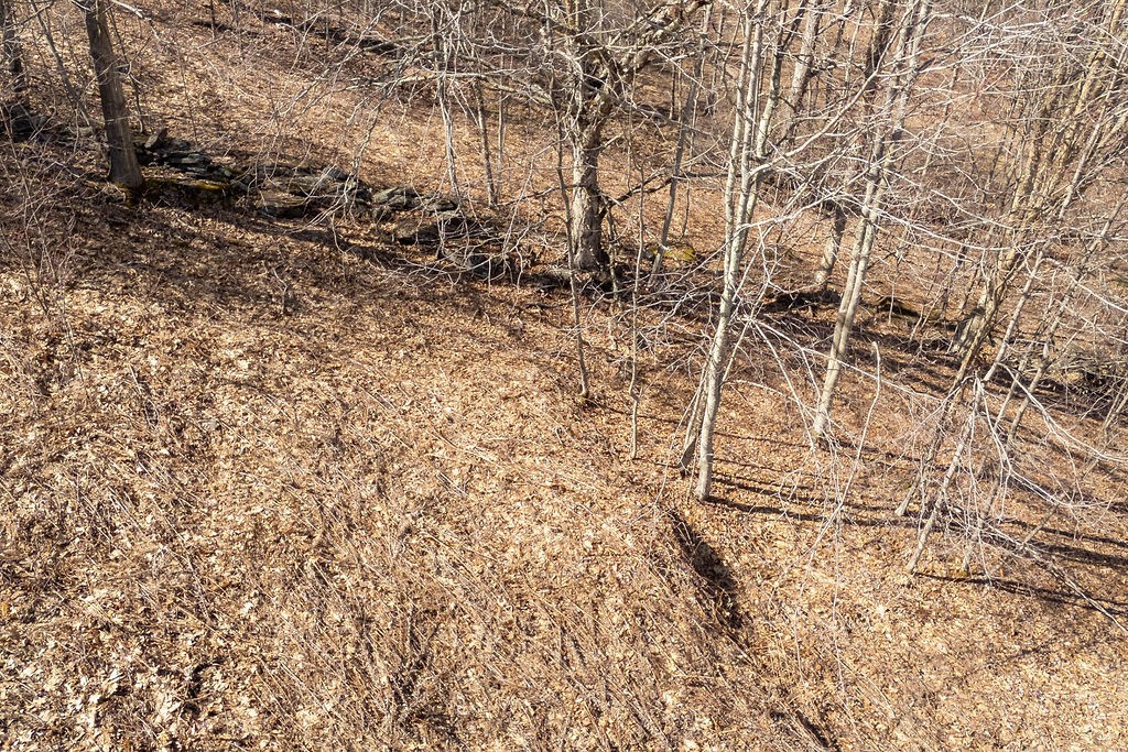 Hill Road Halcottsville, NY 12438 - Photo 31 of 43