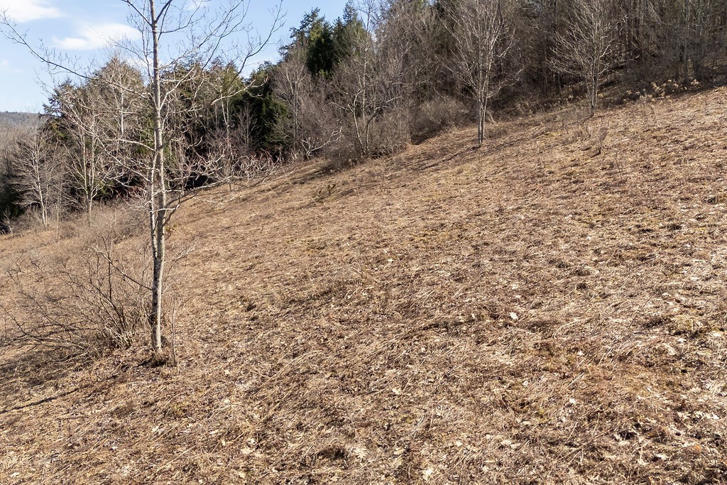 Hill Road Halcottsville, NY 12438 - Photo 33 of 43