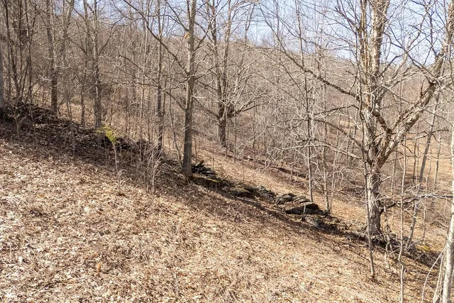 $425,000 | Hill Road, Halcottsville, NY 12438