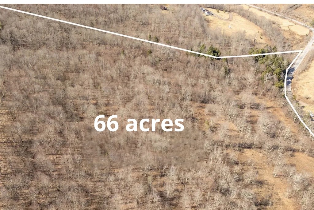 Hill Road Halcottsville, NY 12438 - Photo 35 of 43