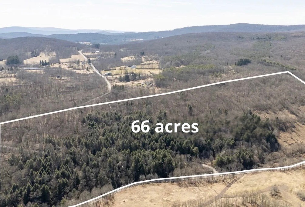 Hill Road Halcottsville, NY 12438 - Photo 37 of 43