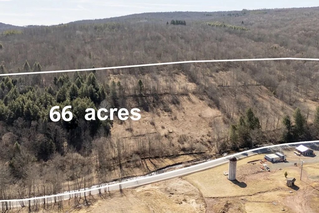 Hill Road Halcottsville, NY 12438 - Photo 39 of 43