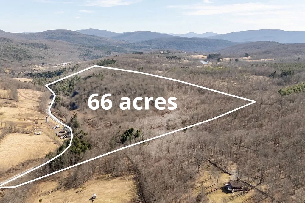 Hill Road Halcottsville, NY 12438 - Photo 40 of 43