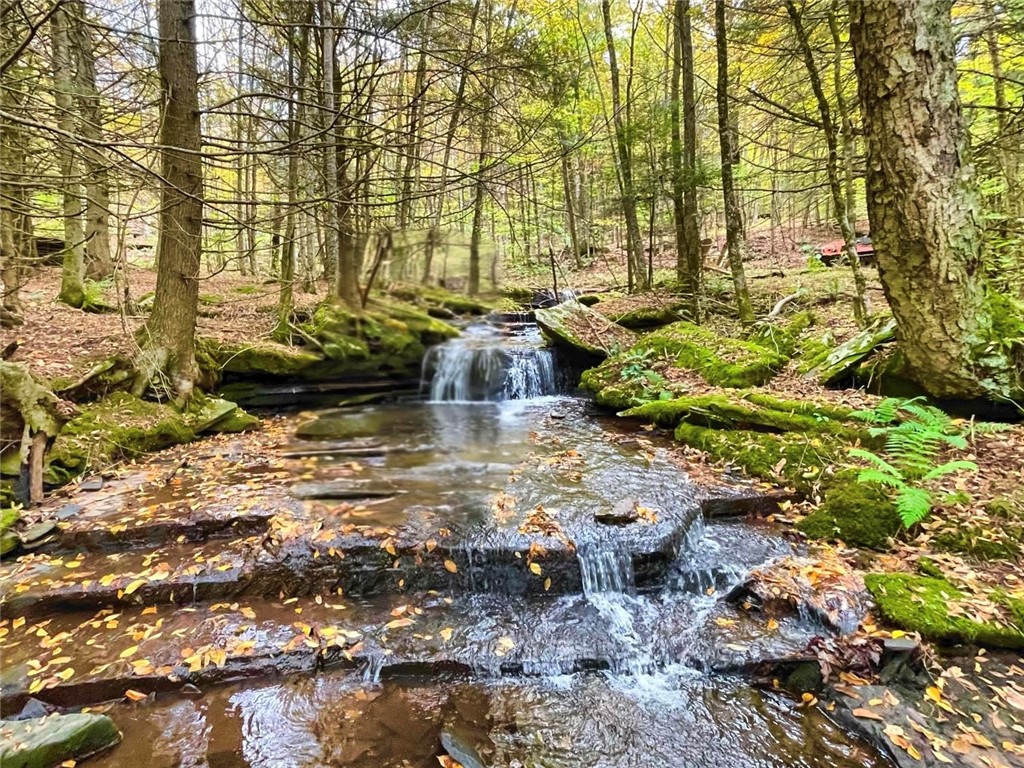 Hill Road Halcottsville, NY 12438 - Photo 4 of 43