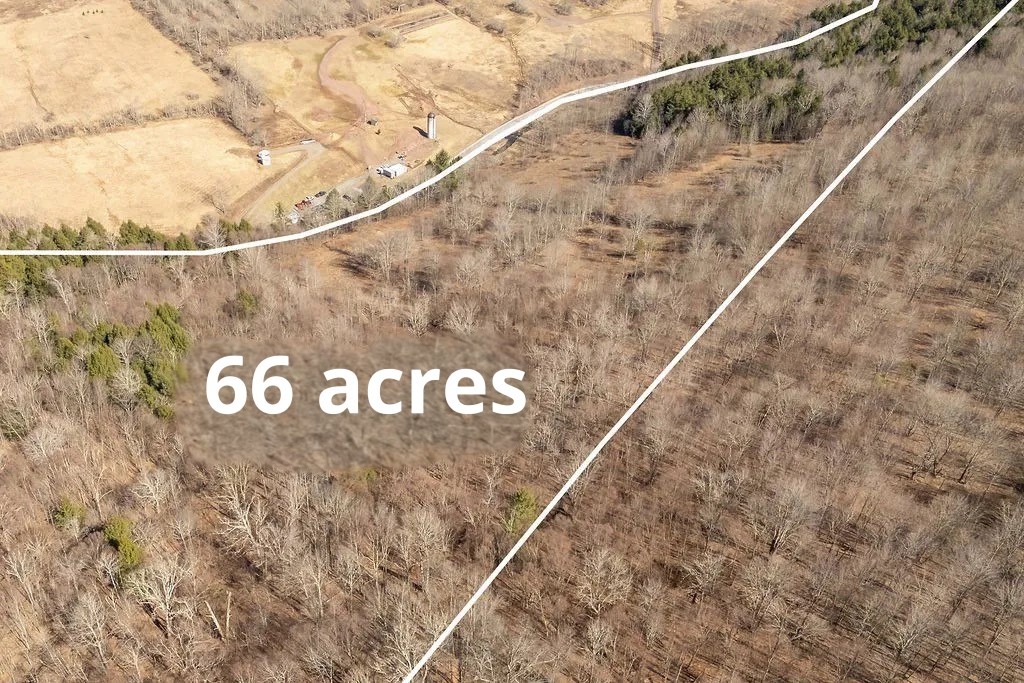 Hill Road Halcottsville, NY 12438 - Photo 41 of 43