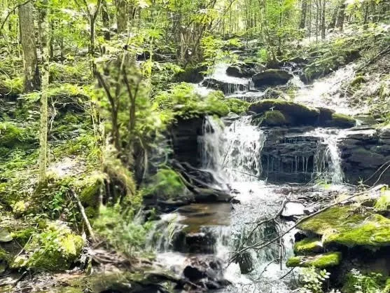 $425,000 | Hill Road, Halcottsville, NY 12438