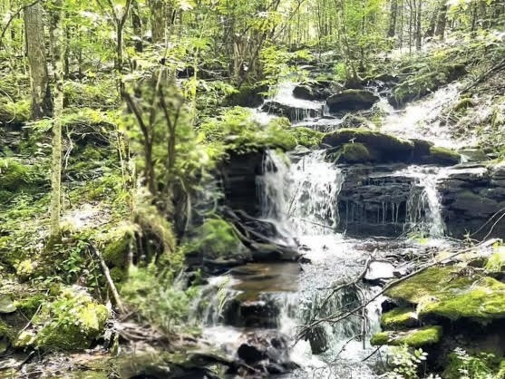 Hill Road Halcottsville, NY 12438 - Photo 5 of 43