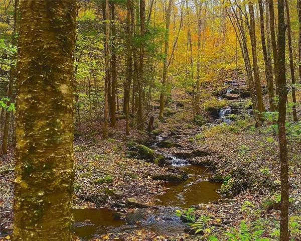 $425,000 | Hill Road, Halcottsville, NY 12438