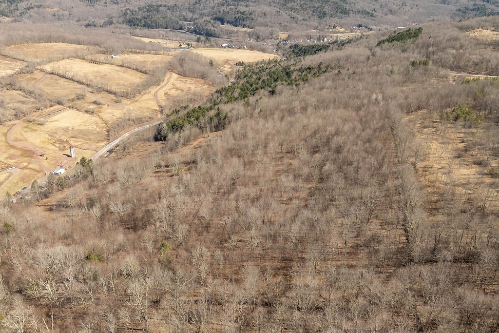 Hill Road Halcottsville, NY 12438 - Photo 8 of 43