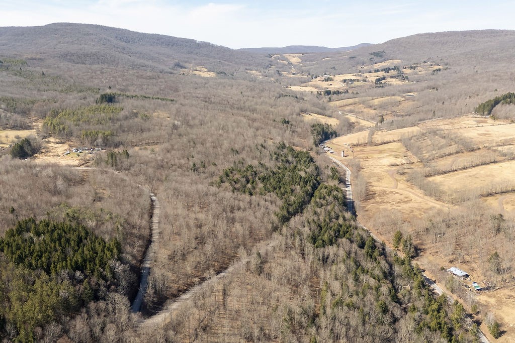 Hill Road Halcottsville, NY 12438 - Photo 9 of 43