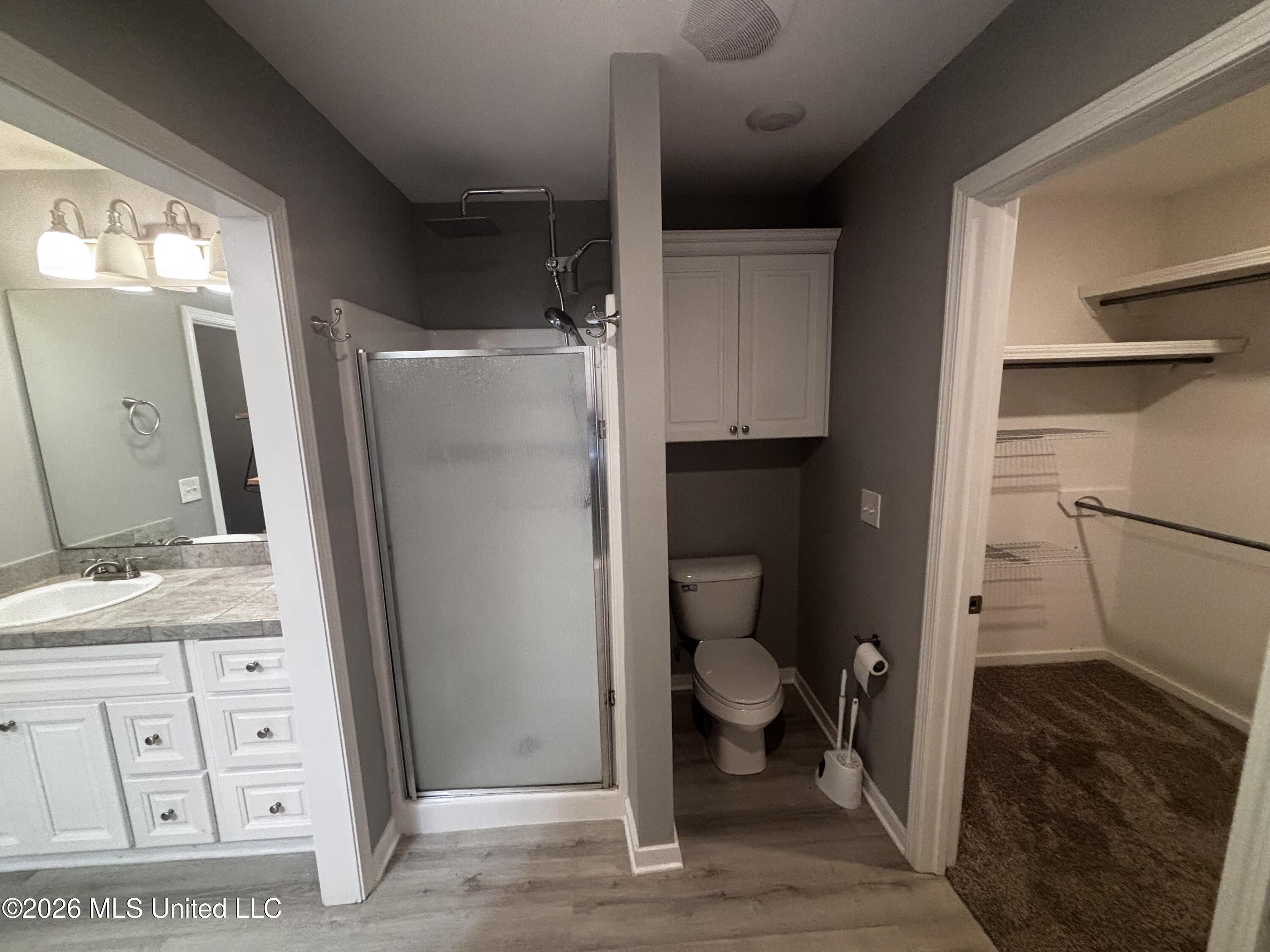 1234 Addison Ln. Brandon, MS 39042 - Photo 12 of 23 Master Bathroom
