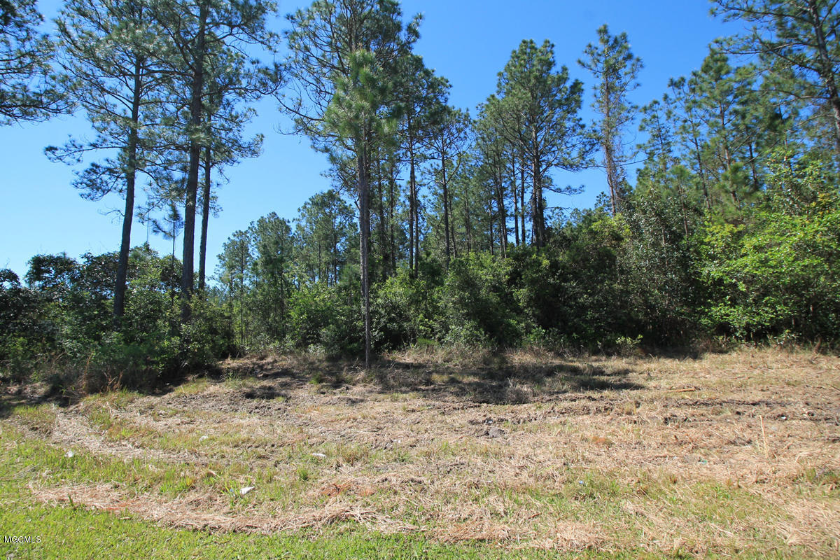 4050 Sammie Hearndon Road Moss Point, MS 39562 - Photo 19 of 24 land 1