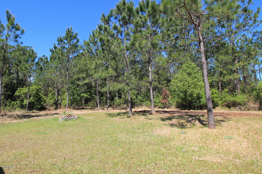 4050 Sammie Hearndon Road Moss Point, MS 39562 - Photo 20 of 24 land 2