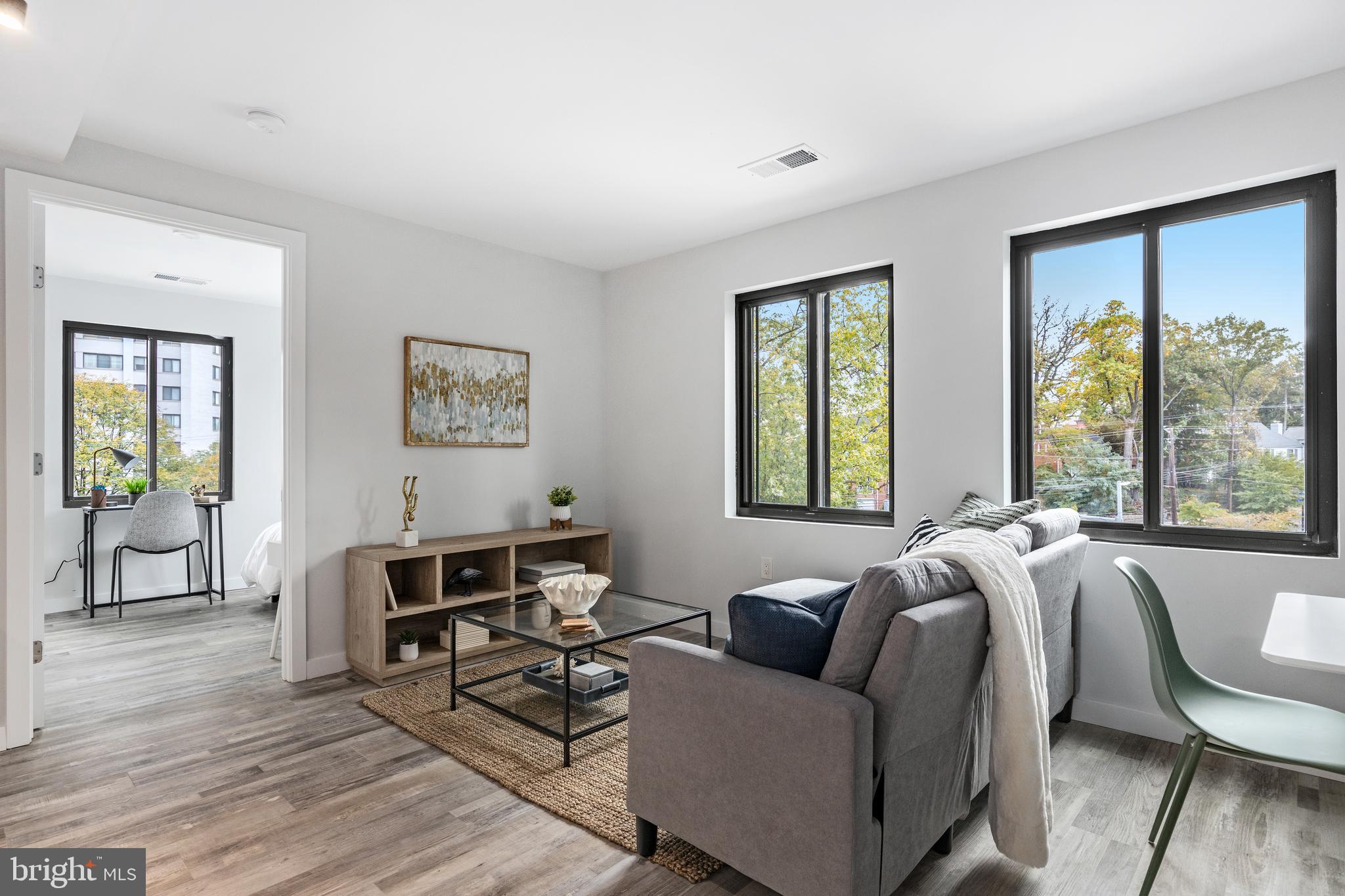 700 Roeder Road, Unit 102 Silver Spring, MD 20910 - Photo 3 of 28