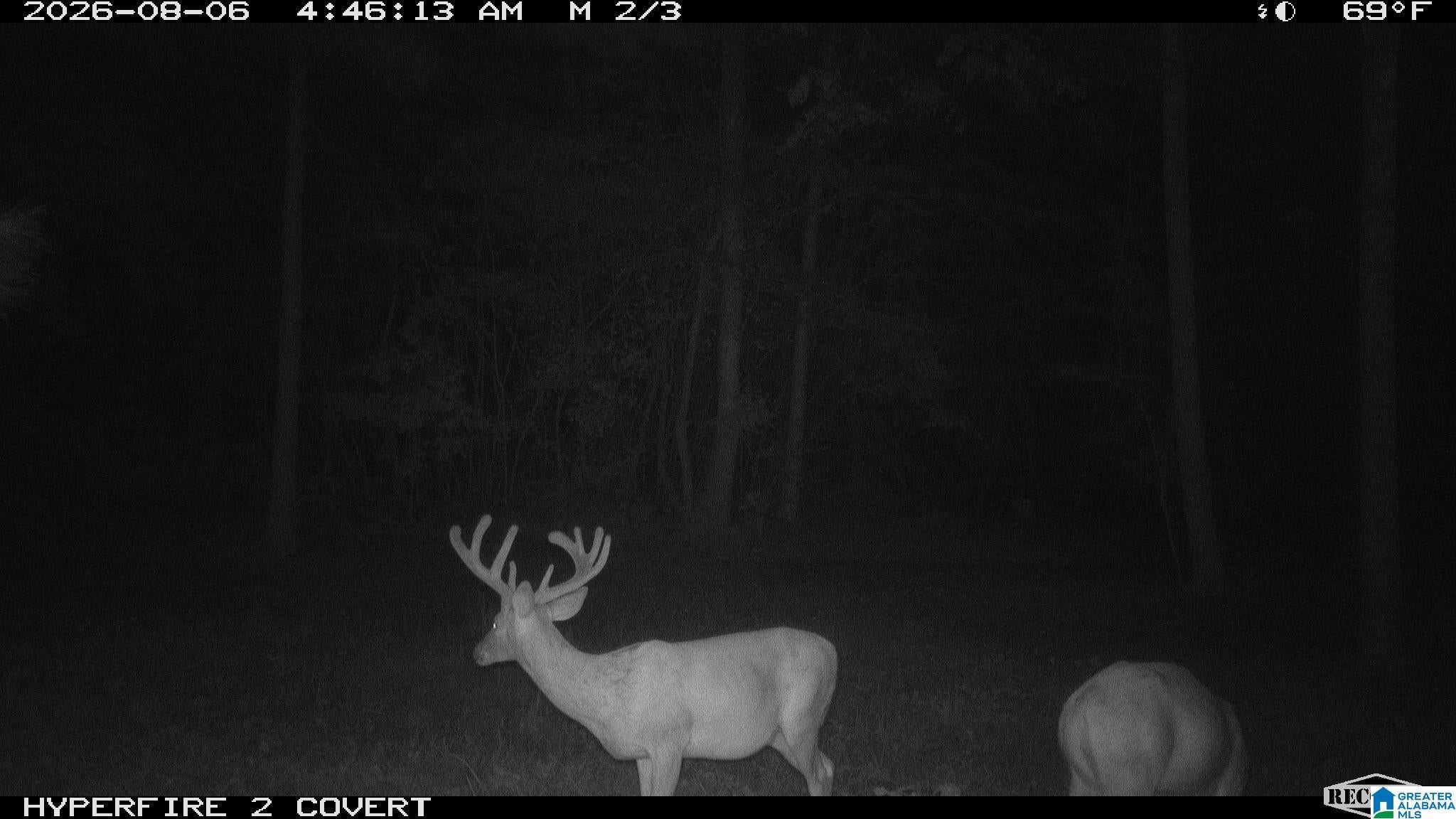 5997 Sipsey Road Empire, AL 35063 - Photo 86 of 86 Gallery Image 86