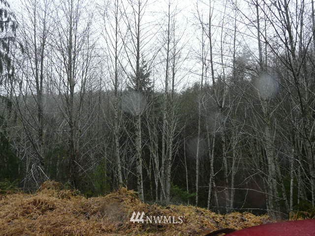 -xxx Rue Creek Road Raymond, WA 98561 - Photo 1 of 1 Gallery Image 1