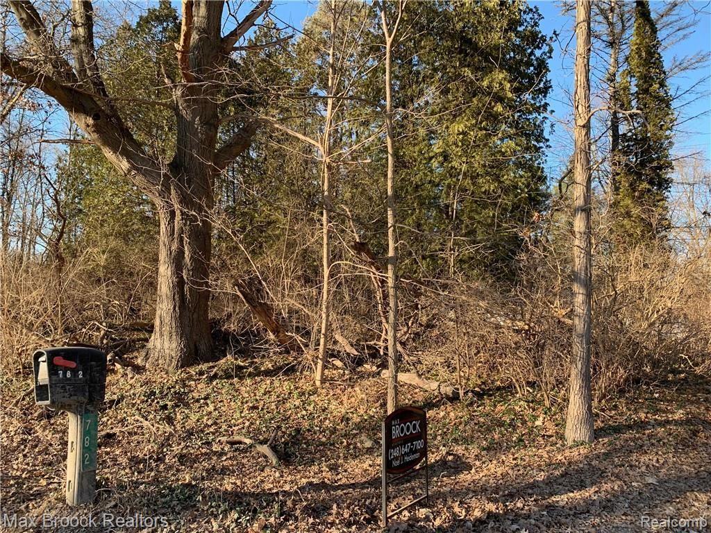 782 West Predmore Road Oakland, MI 48363 - Photo 60 of 60 IMG-0113.JPG