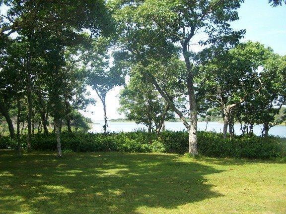 60 Turkeyland Cove Road Edgartown, MA 02539 - Photo 1 of 26 Primary Photo