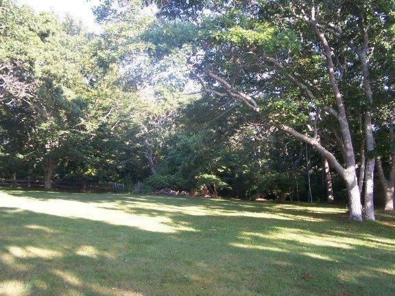 60 Turkeyland Cove Road Edgartown, MA 02539 - Photo 9 of 26 Additional Photo
