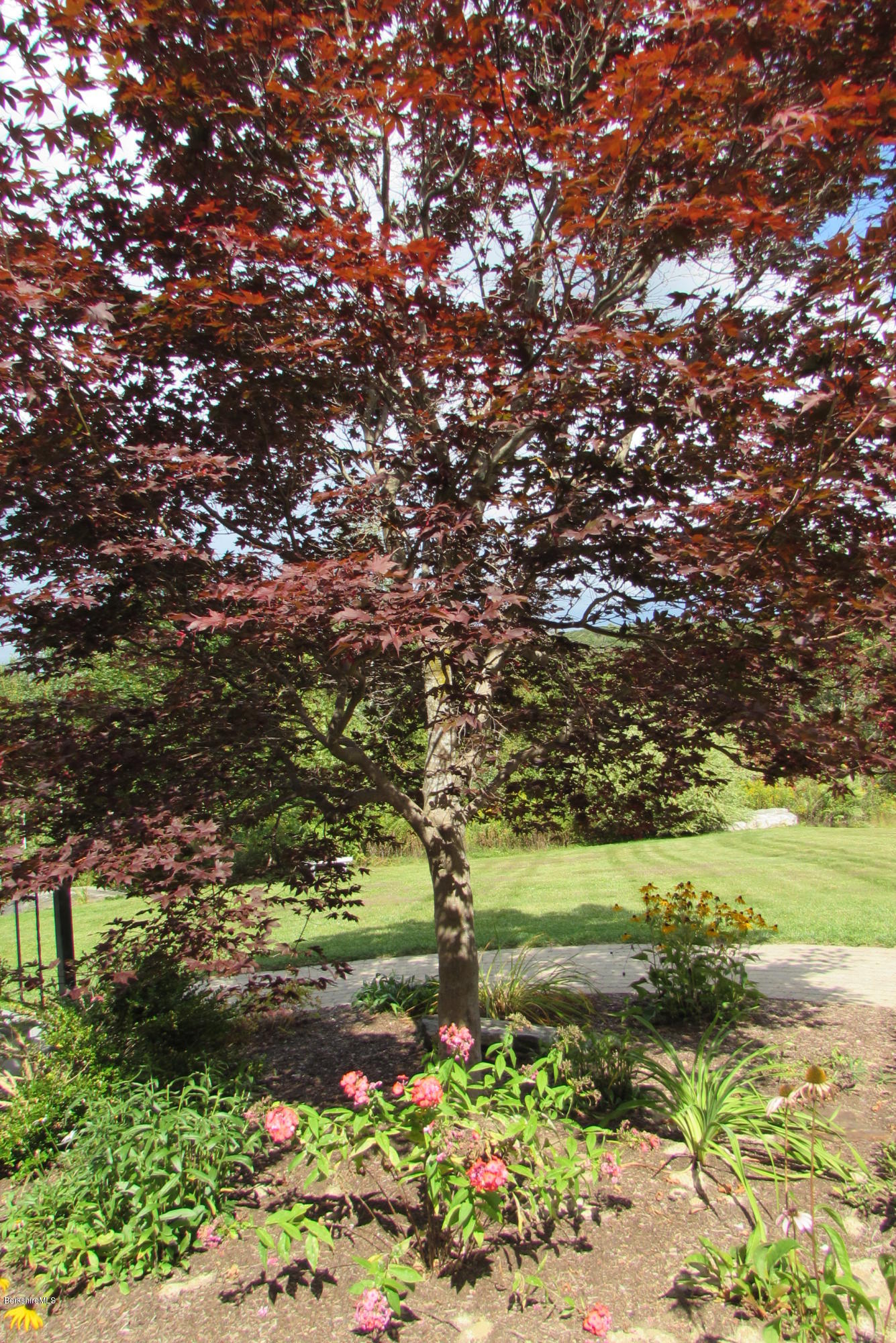 2 B Stonebridge Way Tyringham, MA 01238 - Photo 32 of 34 Trees
