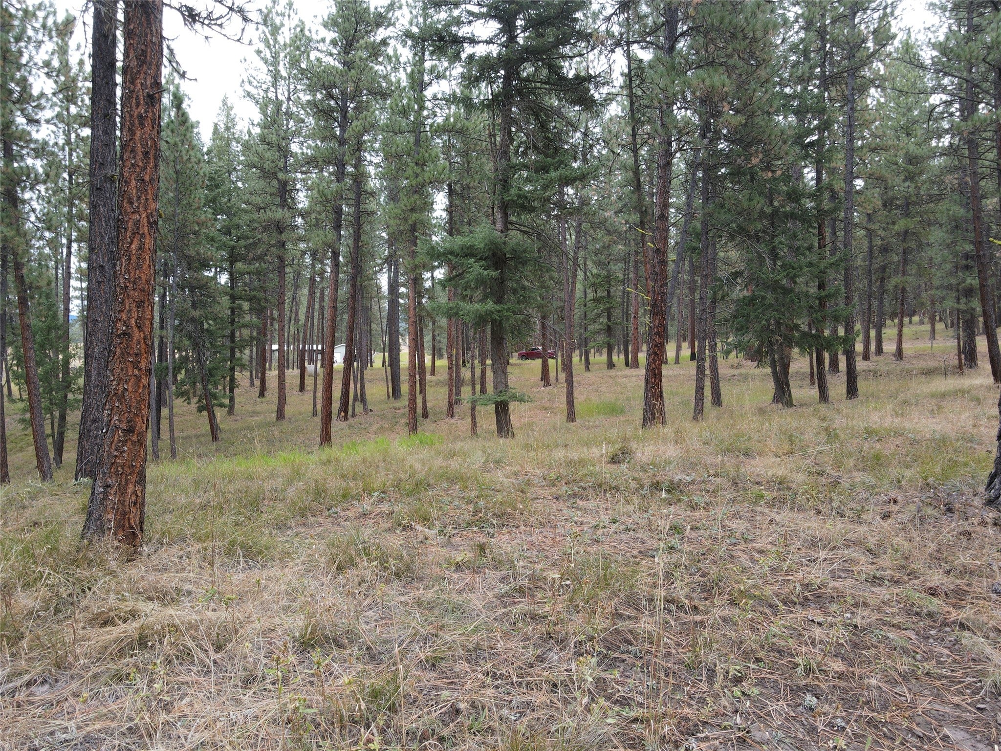 21481 9 Mile Road Huson, MT 59846 - Photo 31 of 43 Gallery Image 31