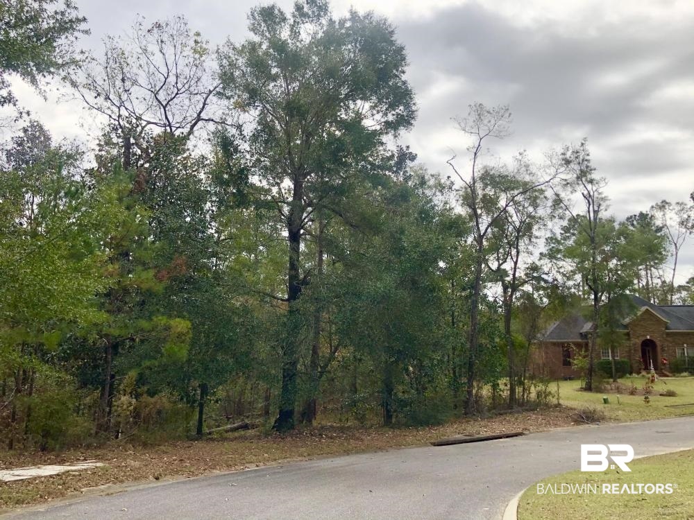 0 Merriwether Court Daphne, AL 36527 - Photo 3 of 7