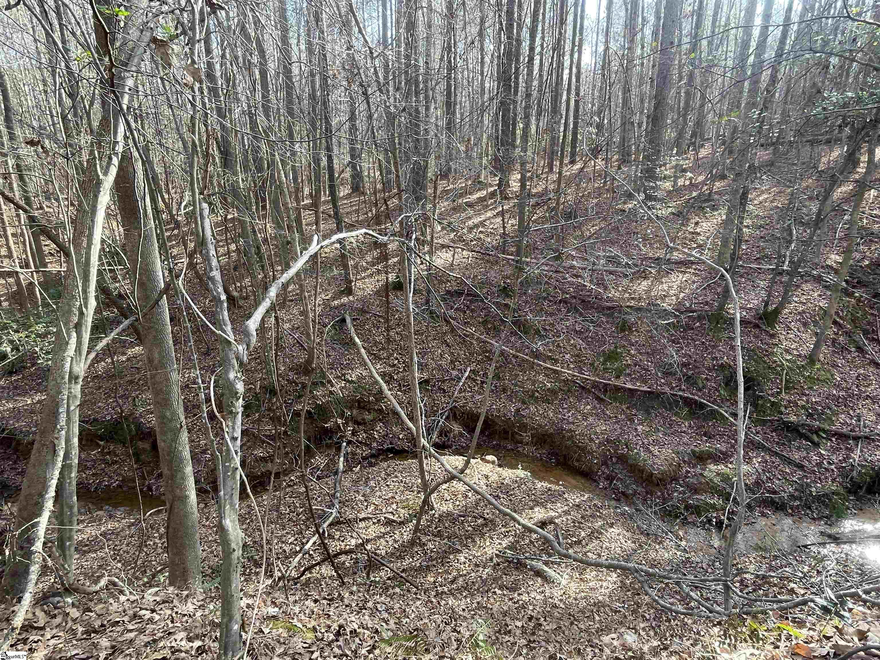 230 Gibson Road Spartanburg, SC 29302 - Photo 14 of 15