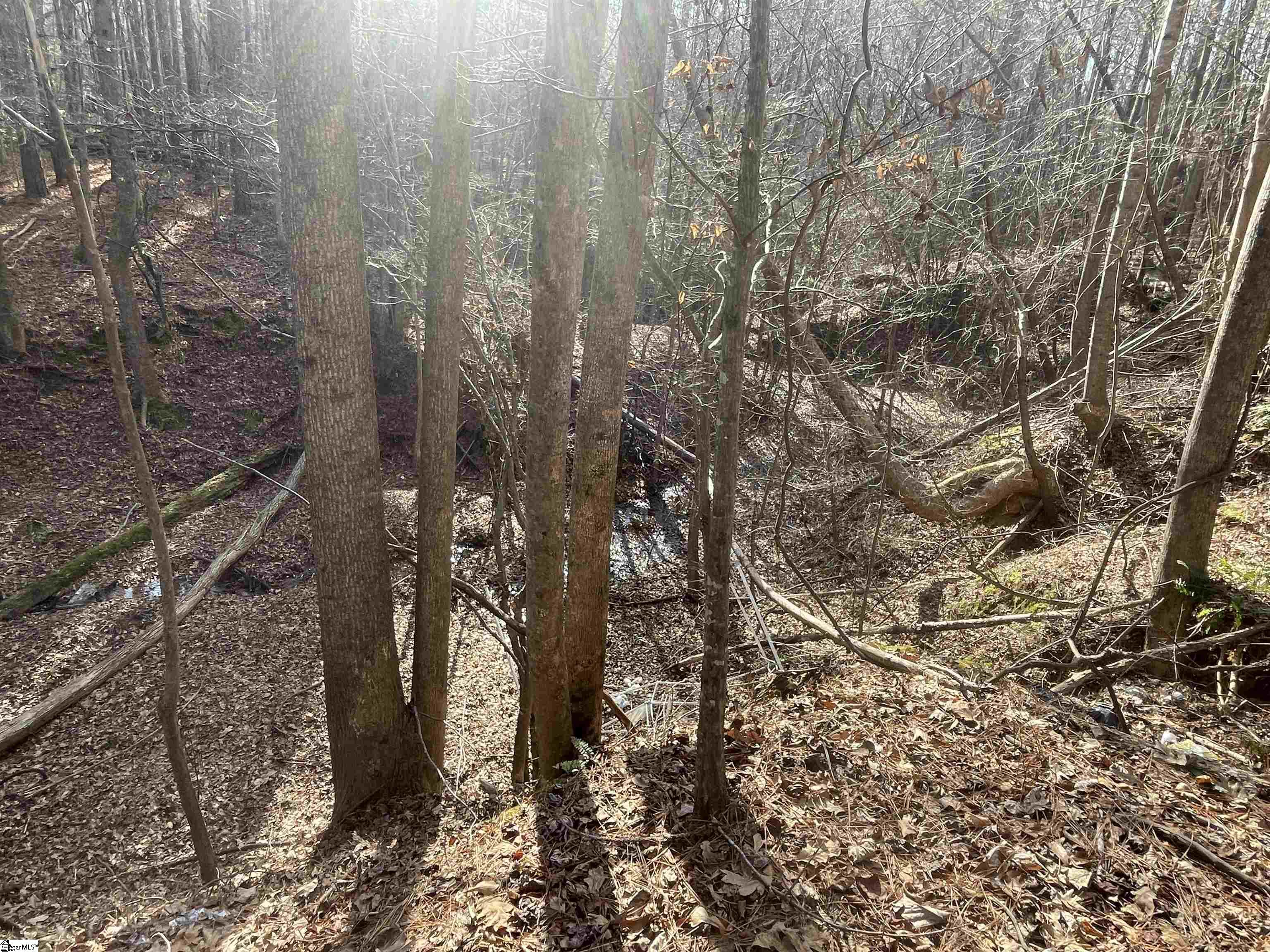 230 Gibson Road Spartanburg, SC 29302 - Photo 15 of 15