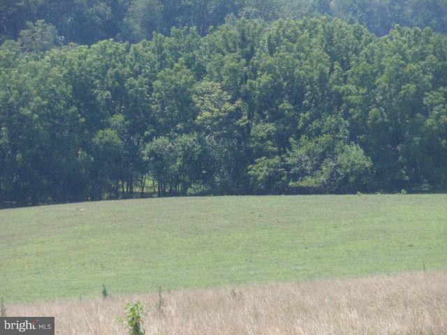 2019 Stone Road Westminster, MD 21158 - Photo 5 of 6 View