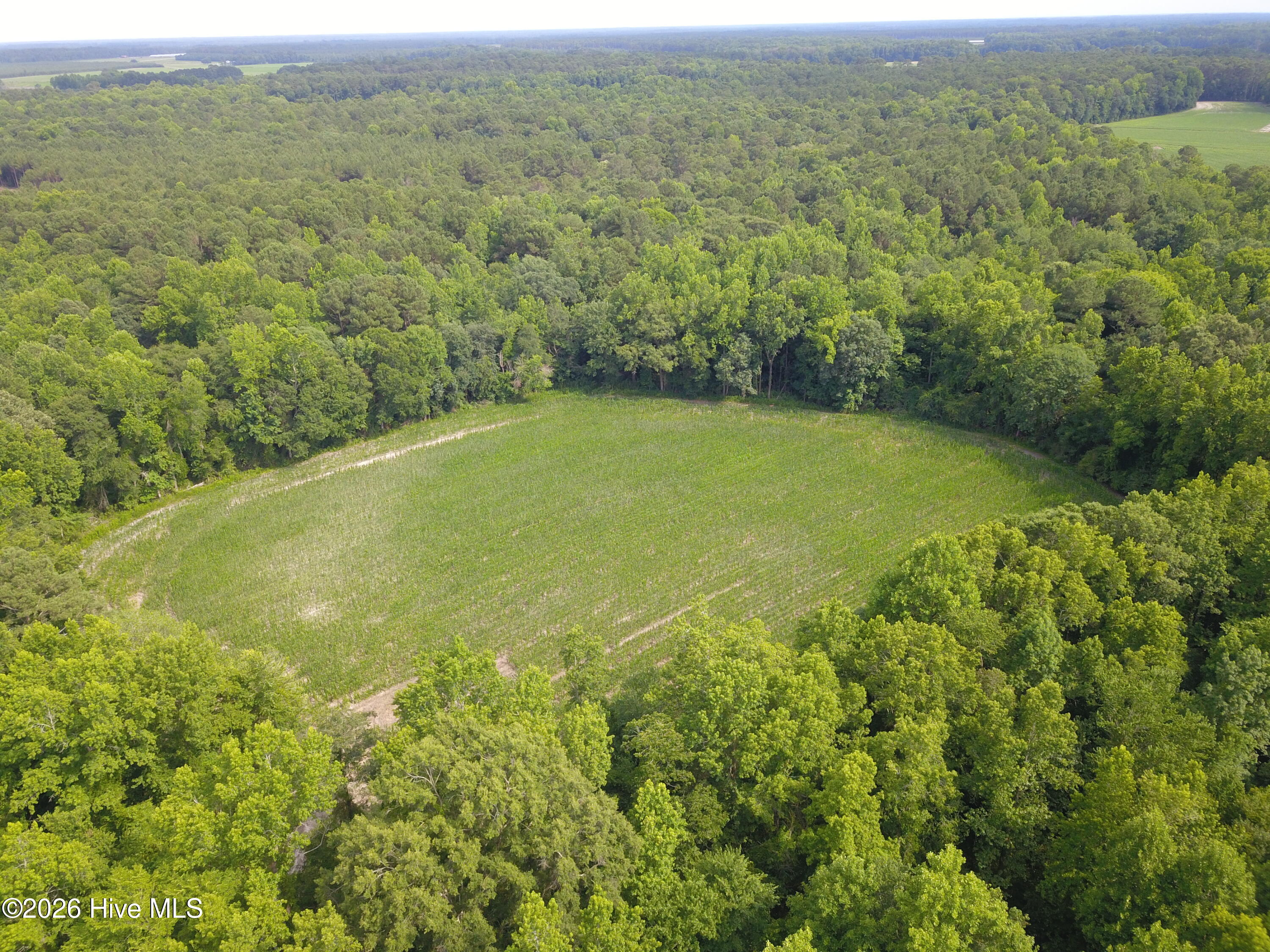 1817 Off S/ Road South Chinquapin, NC 28521 - Photo 5 of 10