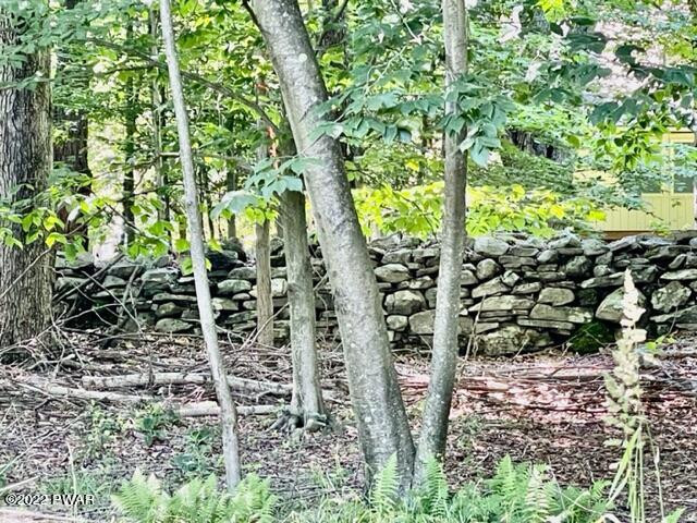 65 Rockway Road Lake Ariel, PA 18436 - Photo 20 of 20