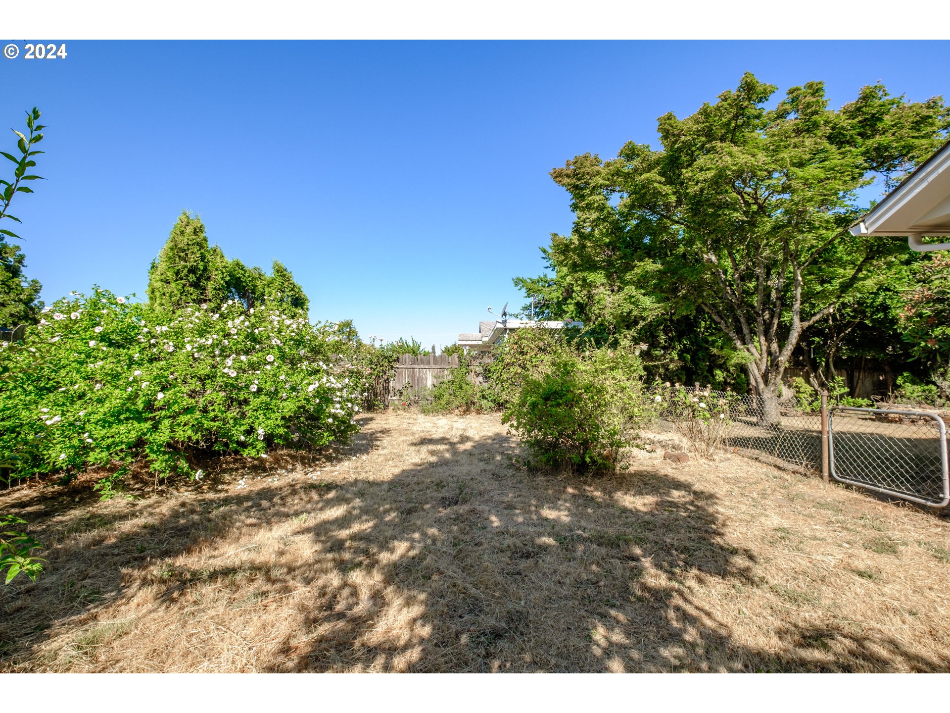 1620 Market Street Springfield, OR 97477 - Photo 30 of 31 a view of a yard with a tree