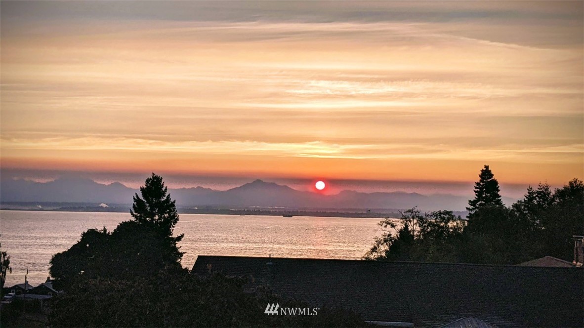a view of a city from a lake