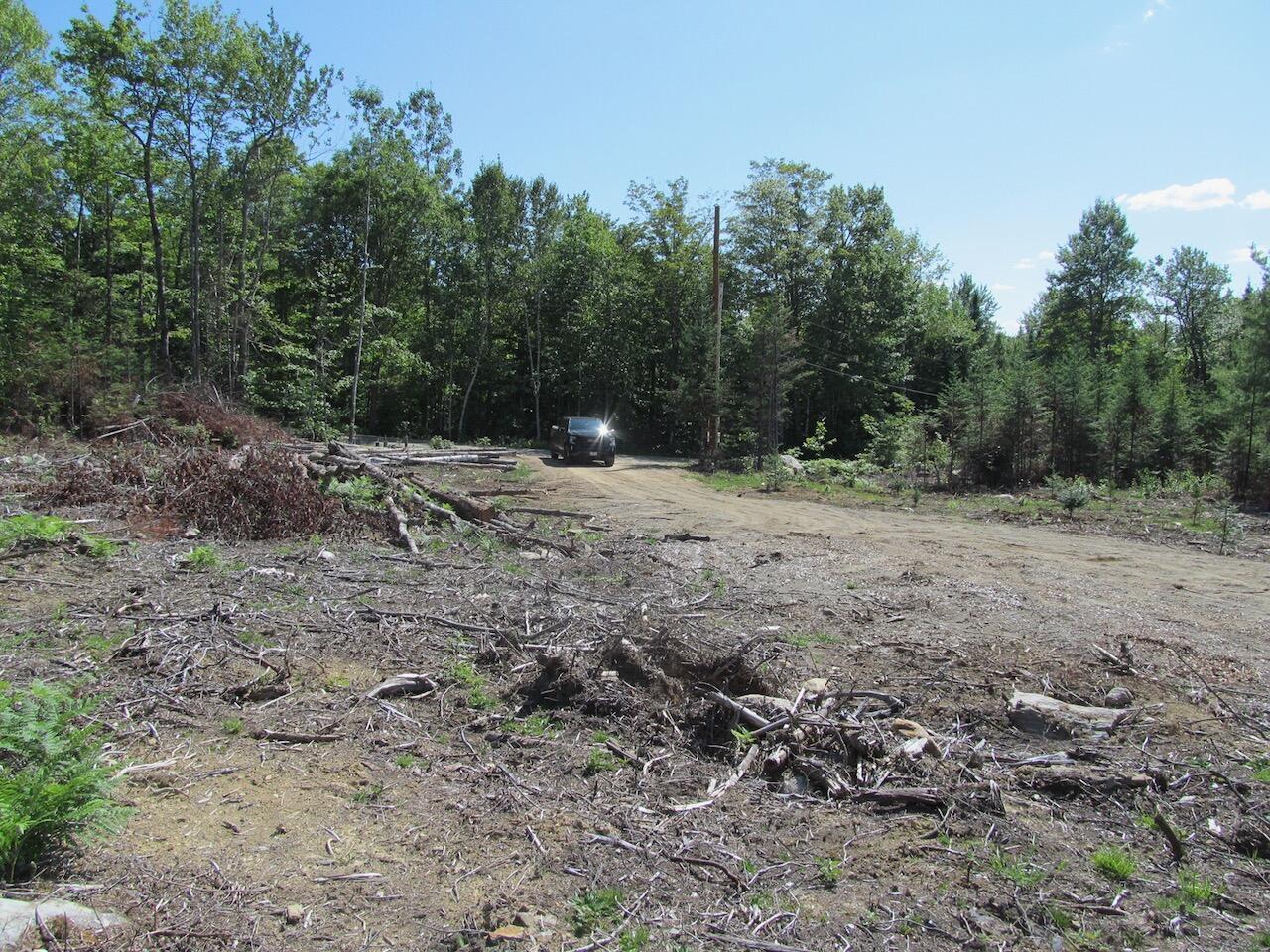 929 Center Hill Road Weld, ME 04285 - Photo 12 of 20