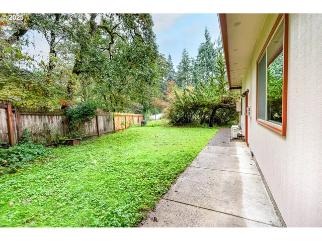 a view of a backyard with potted plants