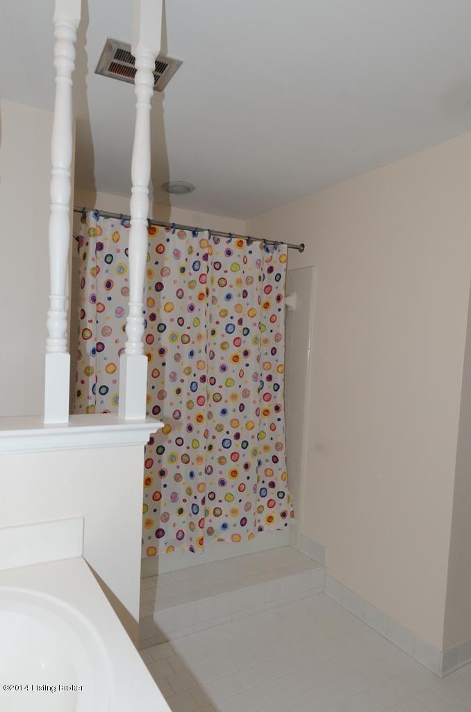 2901 Lightheart Road Louisville, KY 40222 - Photo 42 of 53 DLJ_4493 shower
