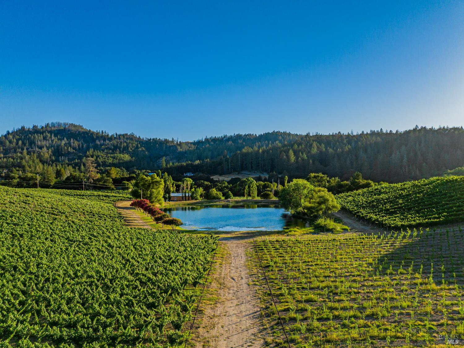 8320 Franz Valley Road Calistoga, CA 94515 - Photo 73 of 78