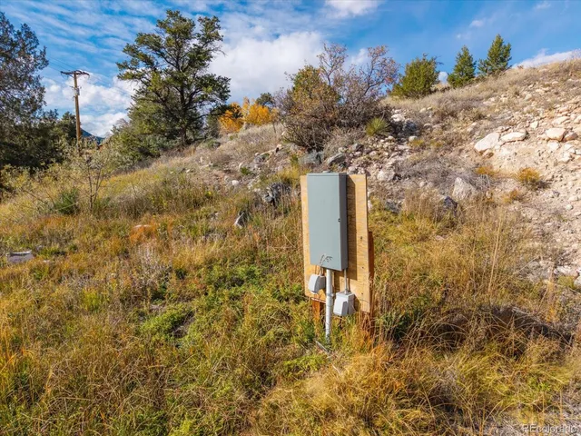 a view of a tree with a yard